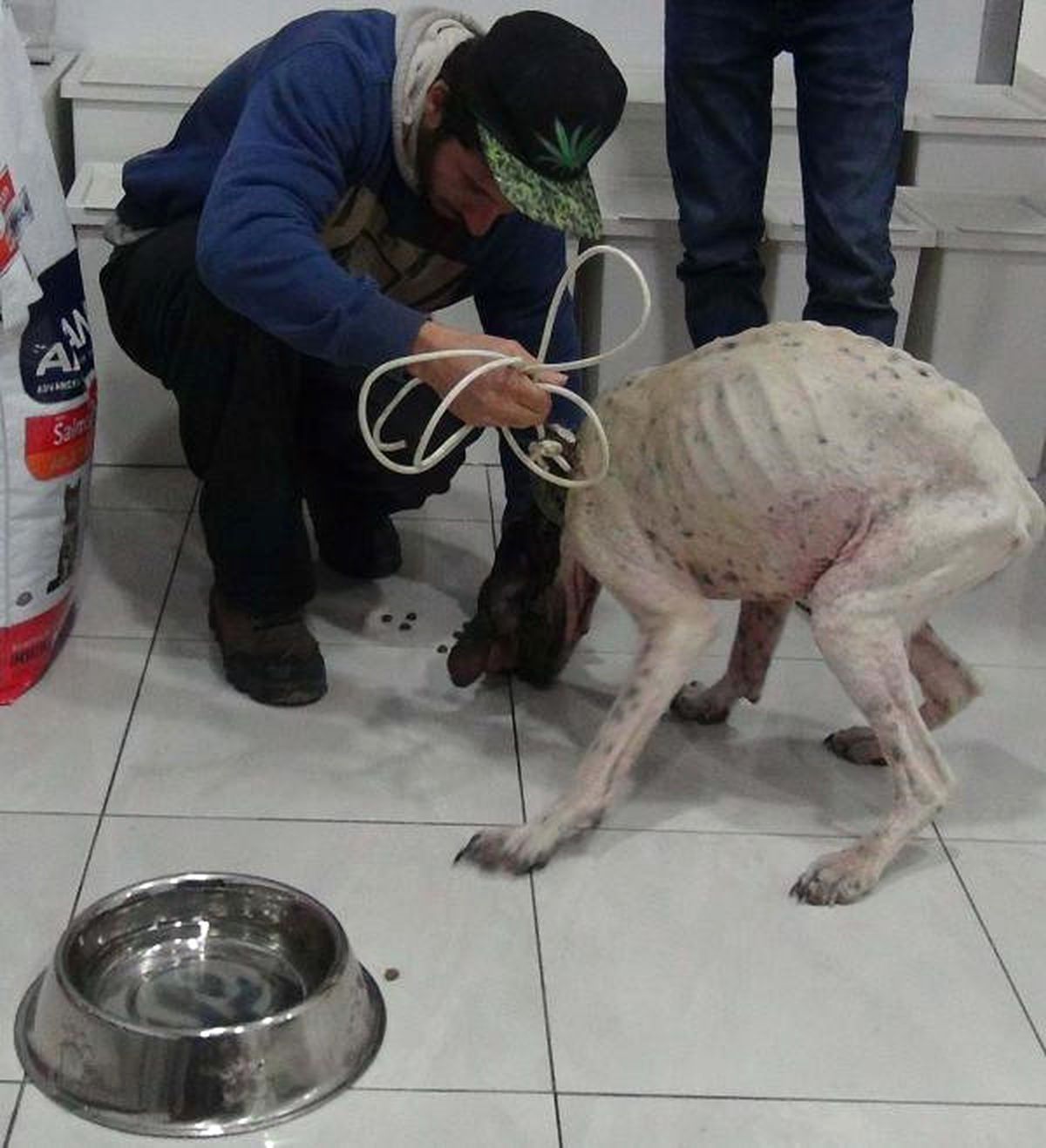 Ölmek Üzereyken Buldukları Köpeği Hayat Döndürdüler
