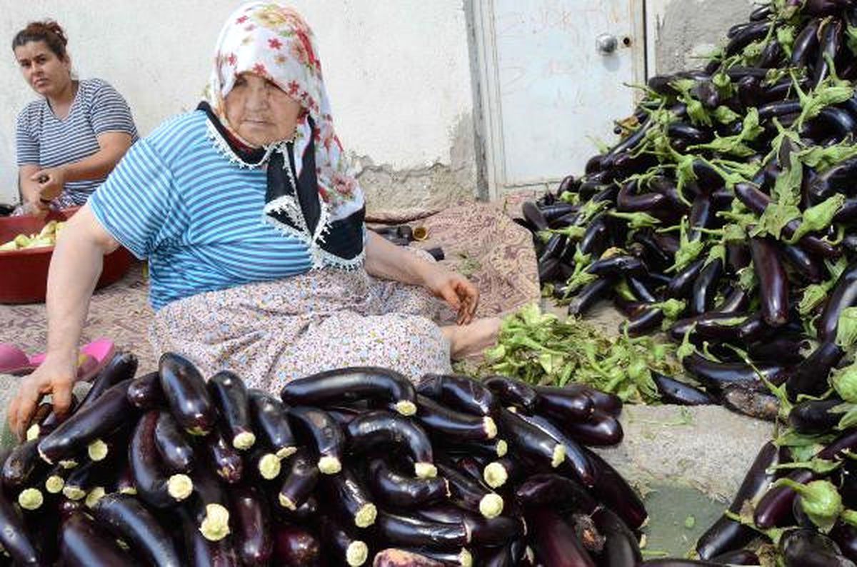 Patlıcan Kurutma İşi, Nazilli\'de 700 Kişiye İstihdam Sağlıyor