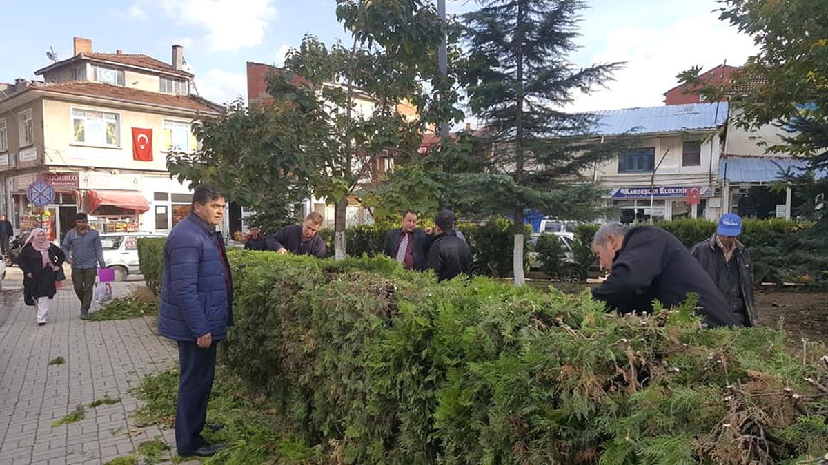 Pazaryeri\'nde Mazı Budama İşlemleri Başladı