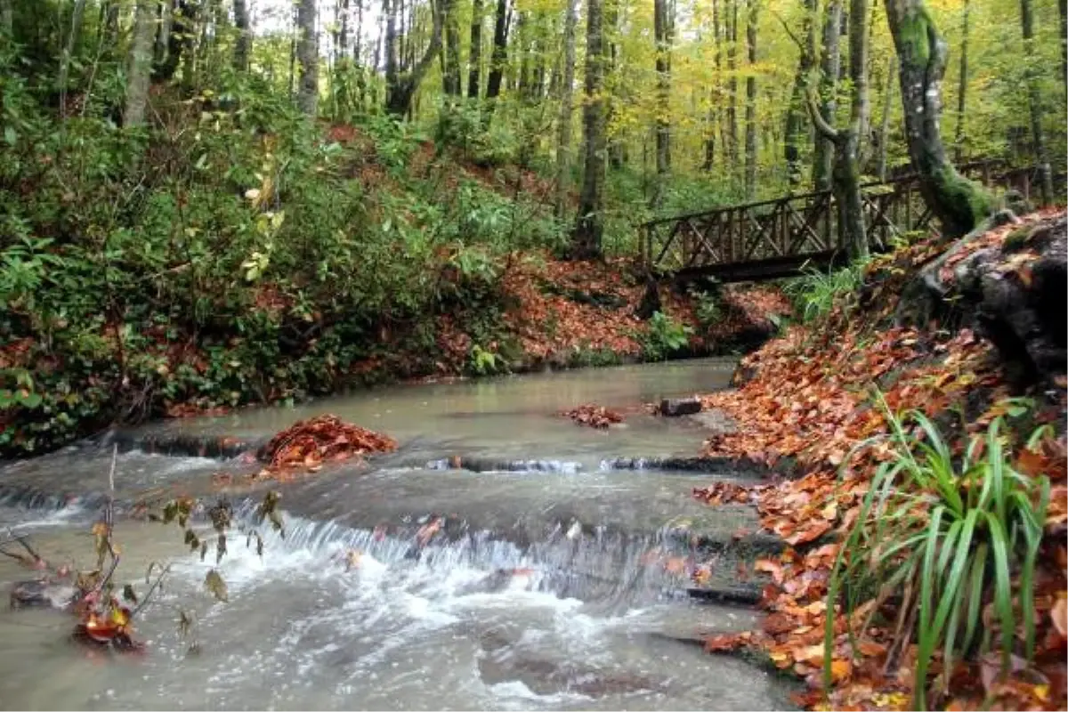 Zonguldak Kent Ormanı\'nda Sonbahar Güzelliği