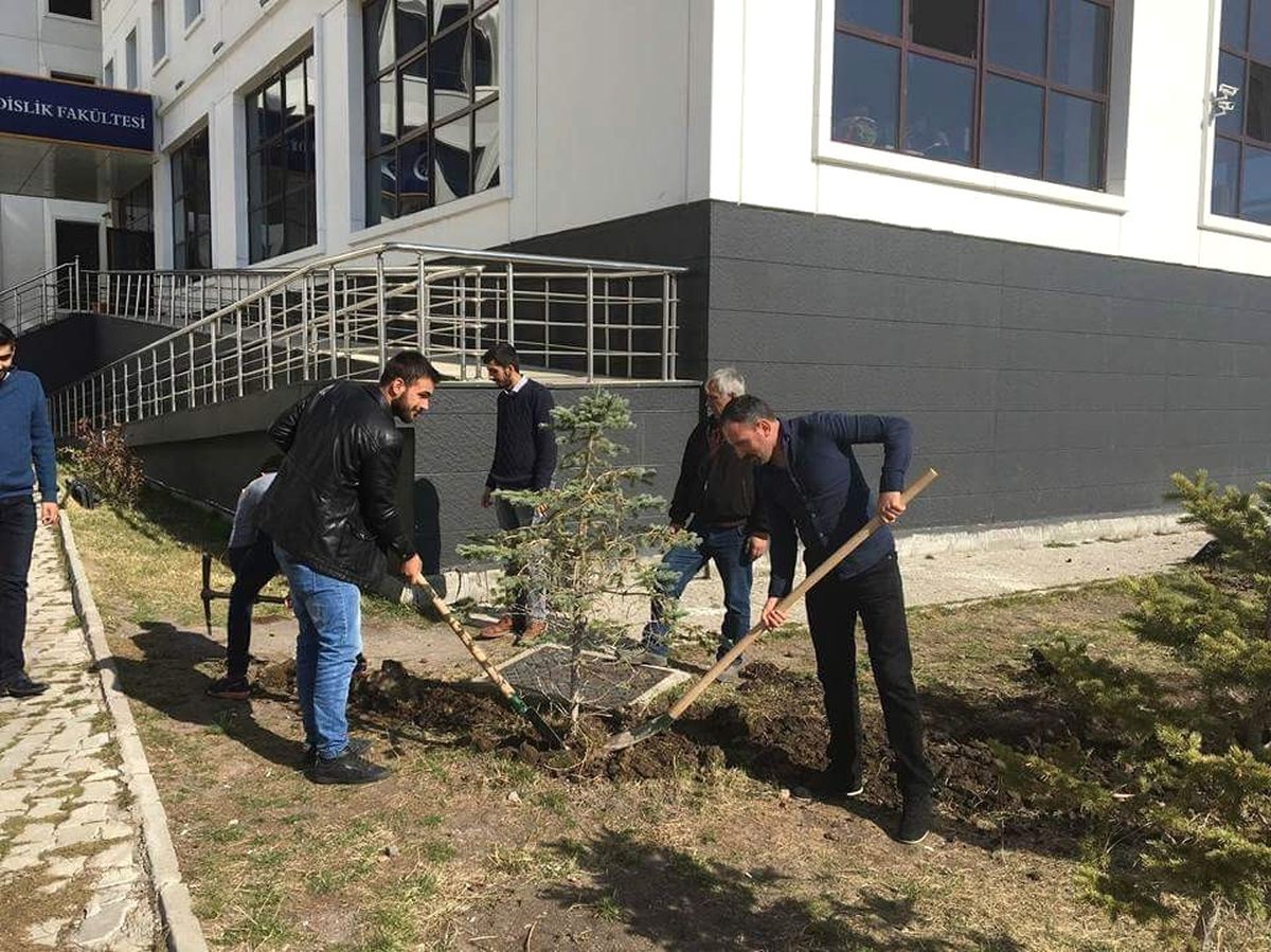 Aü\'de Öğrenciler Fidan Dikti