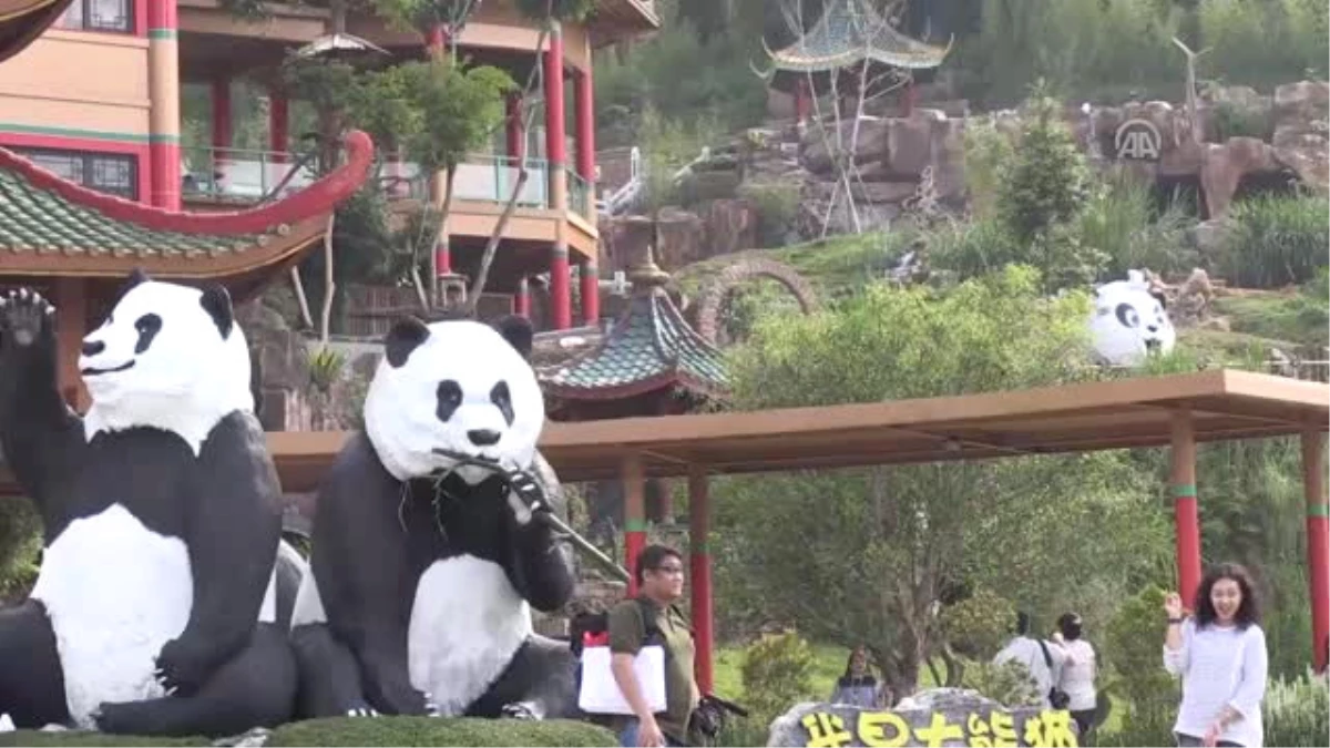 Çin\'in \'Diplomat Pandaları\' Endonezya\'da Görücüye Çıktı