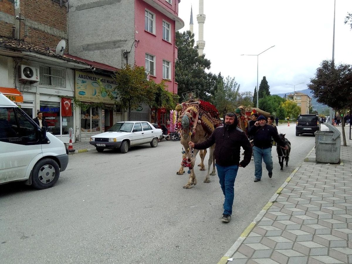 Deve ve Midilliler İlgi Odağı Oldu