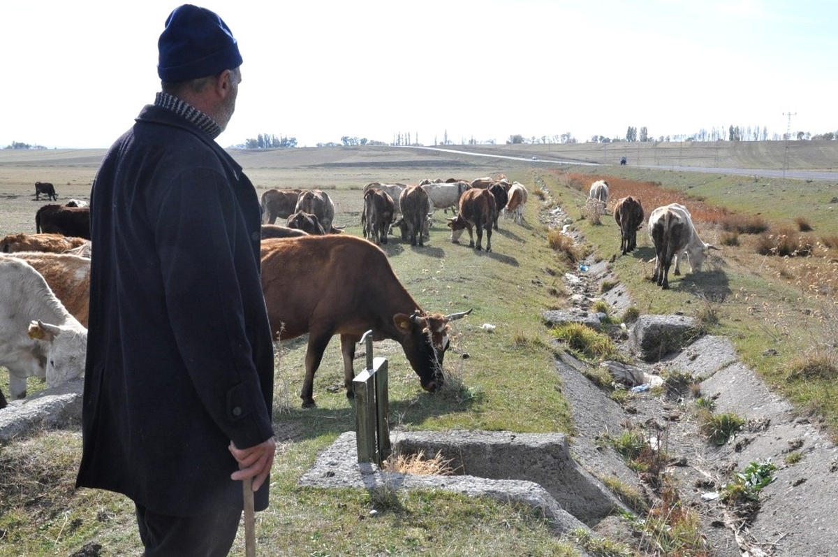 Kars Ziraat Odası Başkanı Ertaş, "Süt Ürünlerine Zam Geldi, Süte Zam Gelmedi"