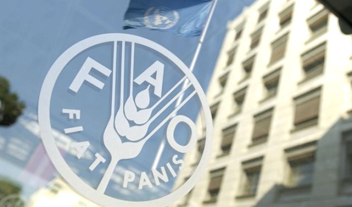 Küresel Gıda Fiyatları Ekimde Geriledi