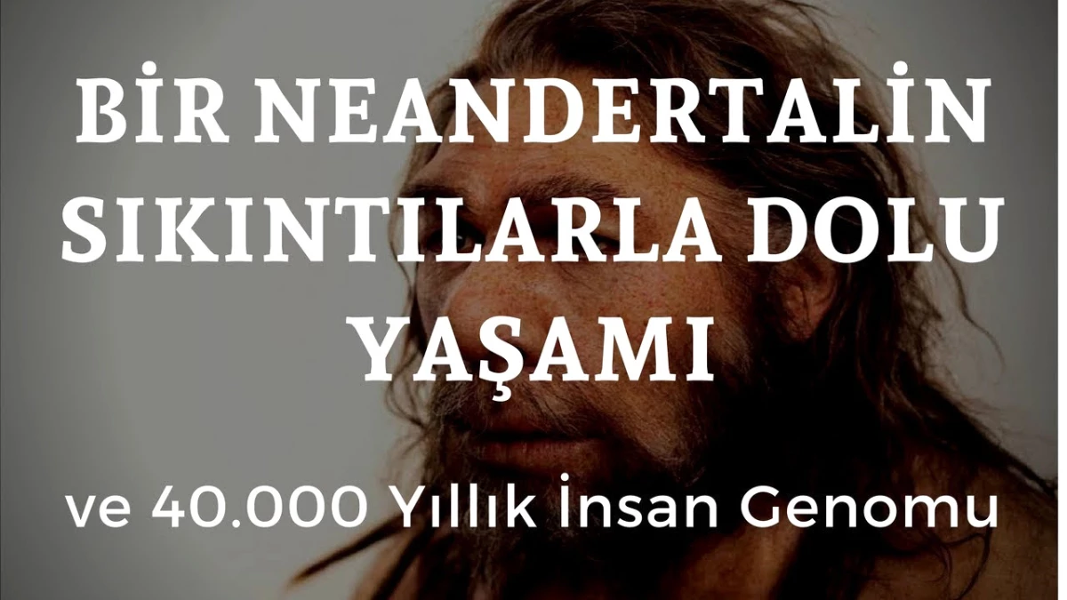 Bir Neandertal'in Sıkıntılarla Dolu Hayatı ve 40.000 Yıllık İnsan Genomu