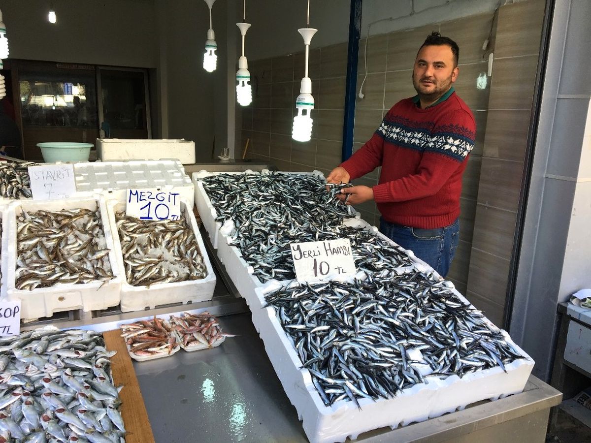 Fatsa\'da Hamsi 10 Tl