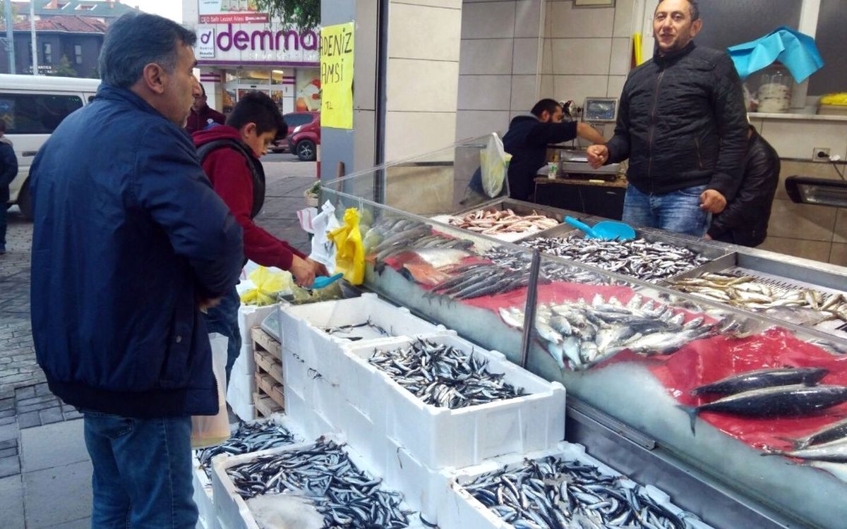 Karadeniz\'de Hamsi Bolluğu