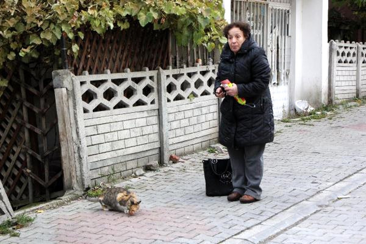 Kediye Kemerle Vuran Komşusunu, Özür Dileyince Affetti