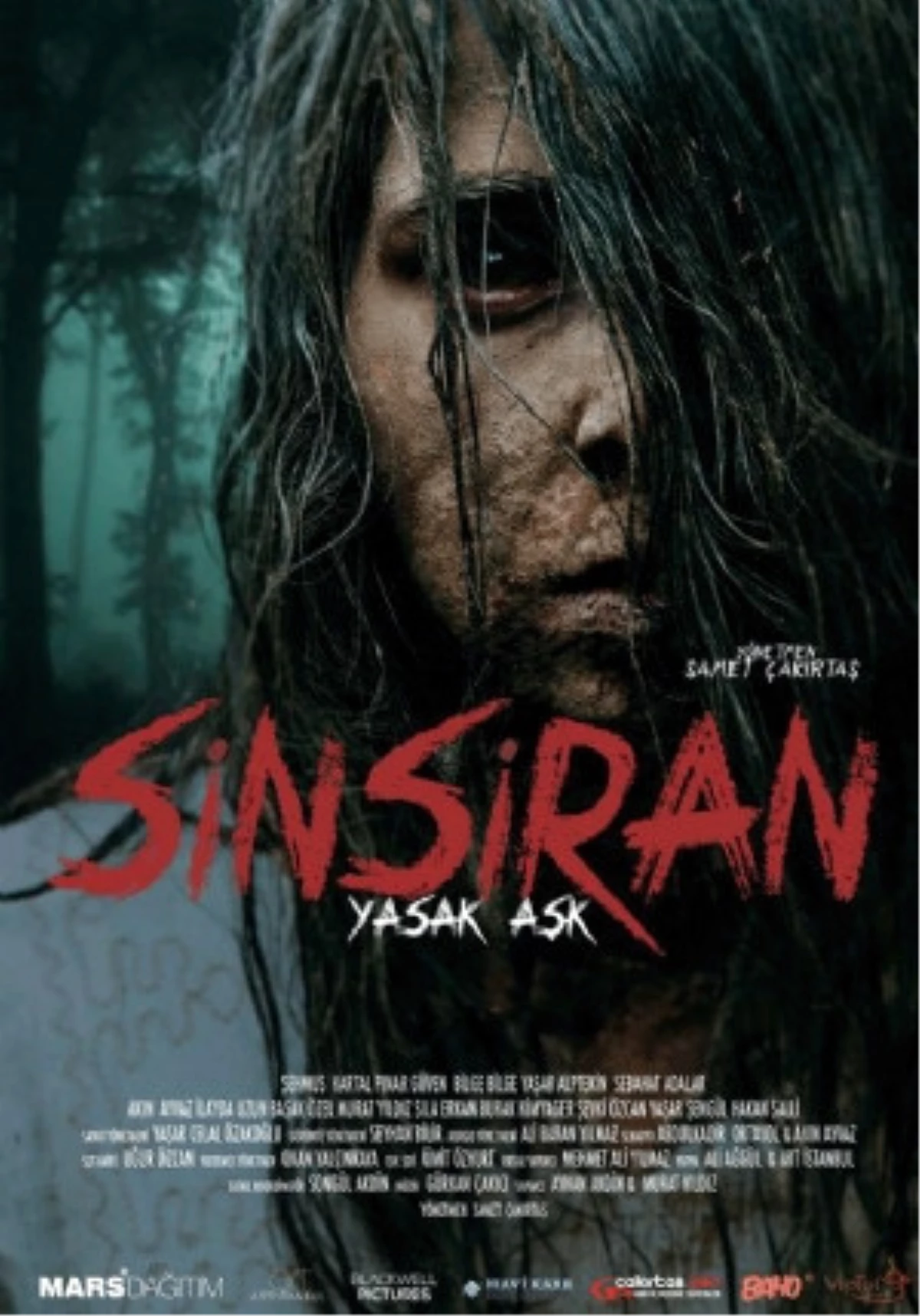 Sinsiran: Yasak Aşk Filmi