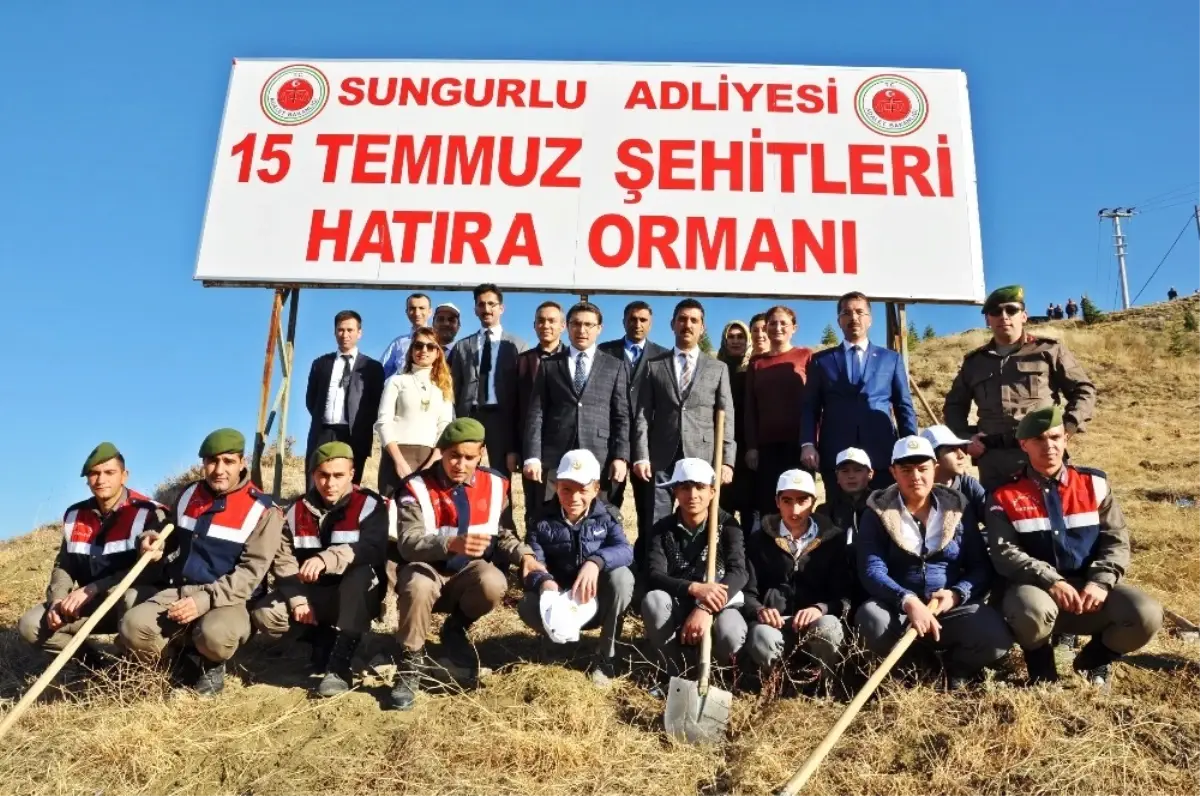 Sungurlu\'da Asker ve Öğrenciler Fidan Dikti