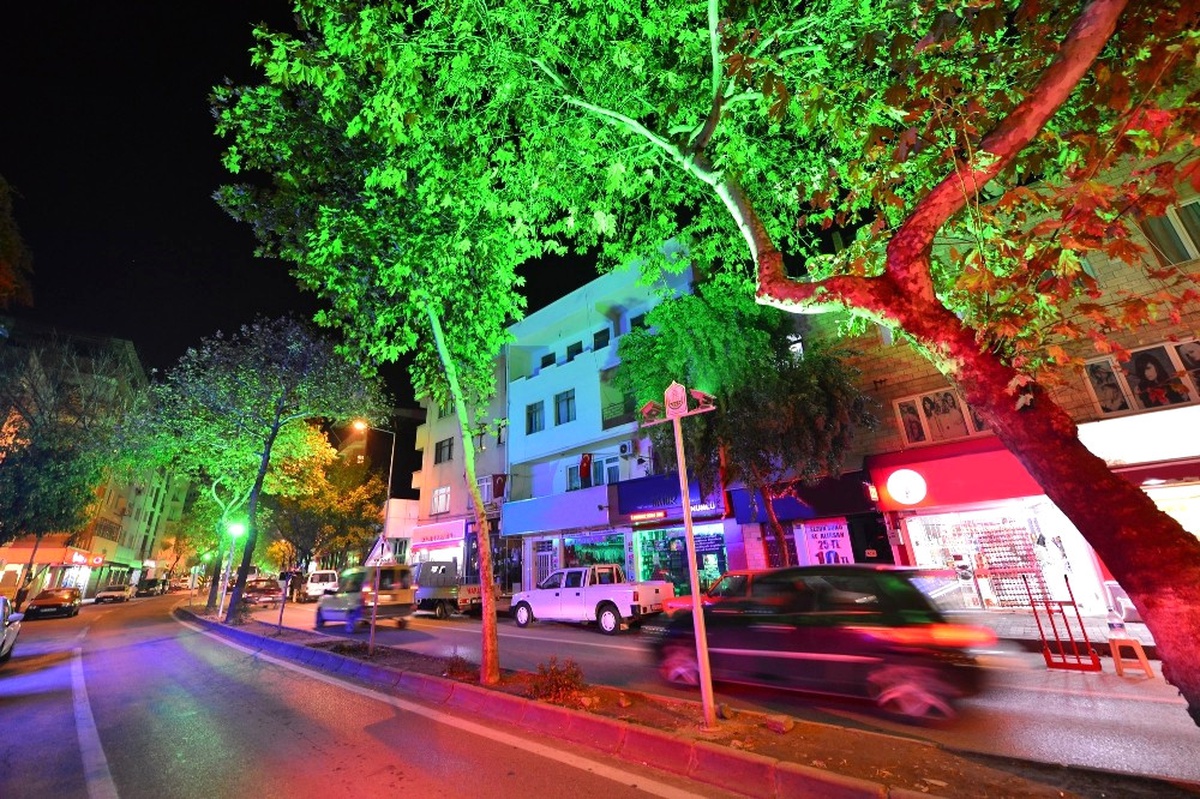 Tayyareci Mehmet Ali Caddesi Işıl Işıl
