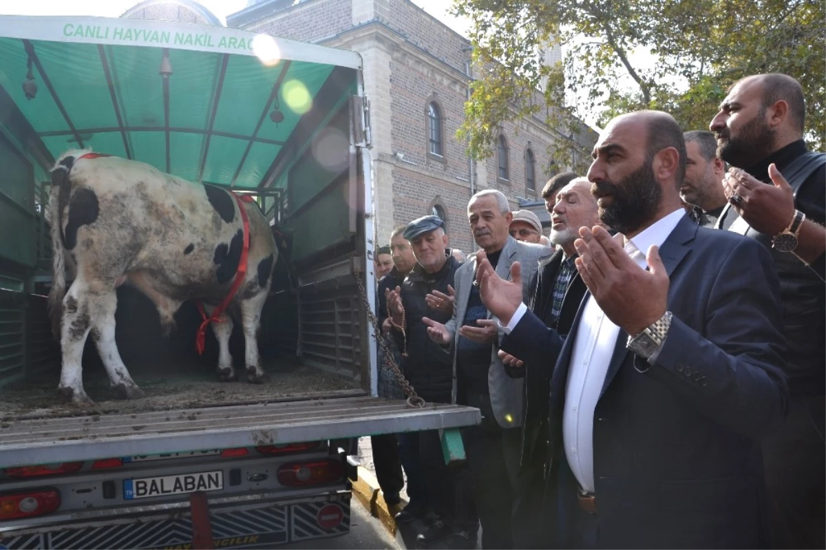 Balıkesir Belediye Eski Başkanı Uğur İstifa Edince Kurban Kestiler