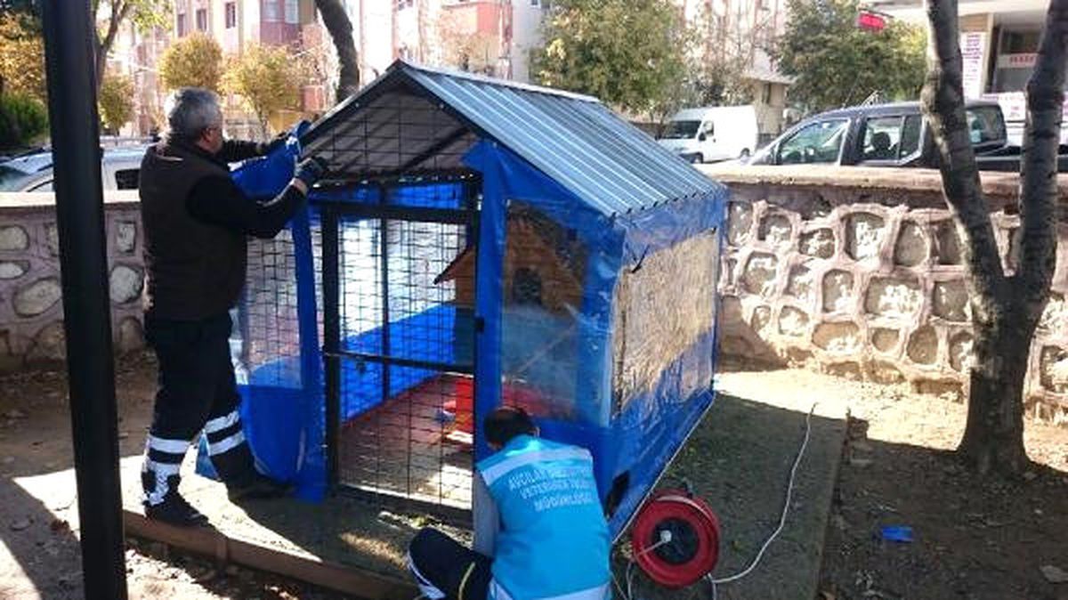 Avcılar\'da Sokak Hayvanları Kışı Sıcak Geçirecek