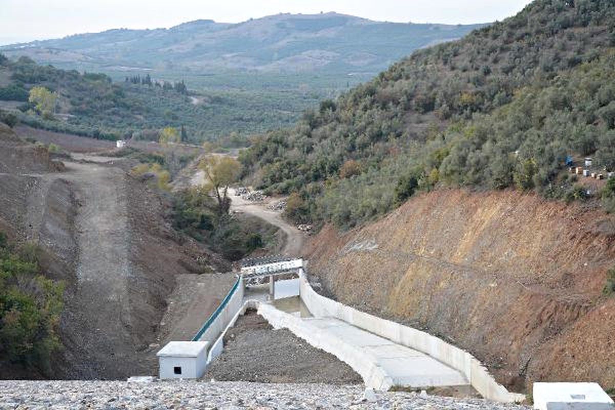 Başkan Türkyılmaz: Dsi, Mudanya\'da 2 Bin Zeytin Ağacını Usulsüz Sökecek