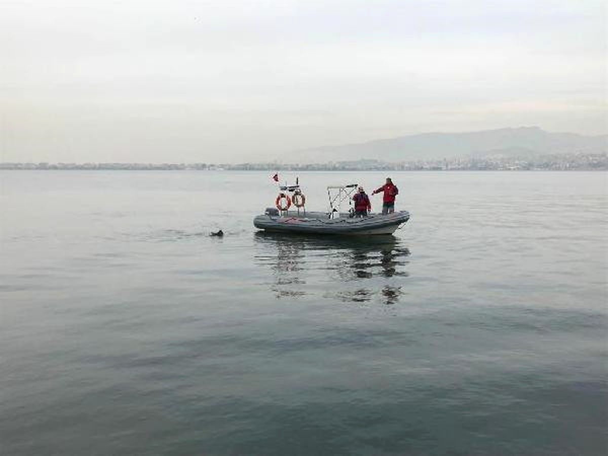 Denizde Ceset Bulundu