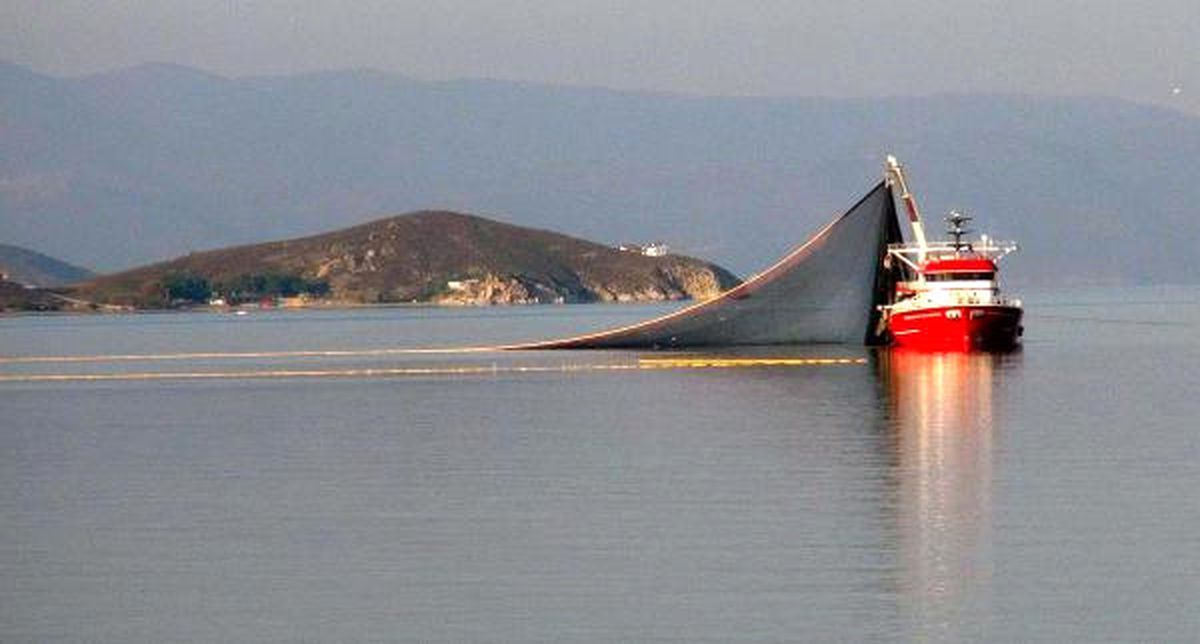Martı Çok, Balık Yok