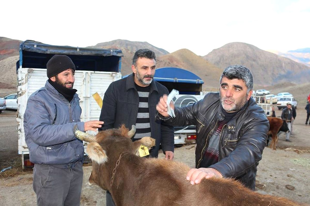Oltu Hayvan Pazarında Satan Çok Alan Yok