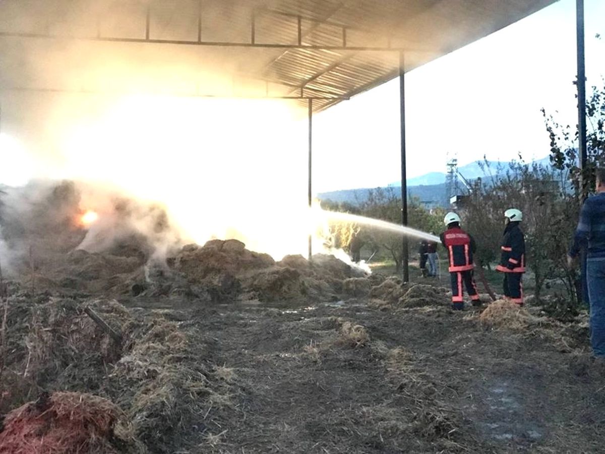 Samanlık Yangını Korkuttu