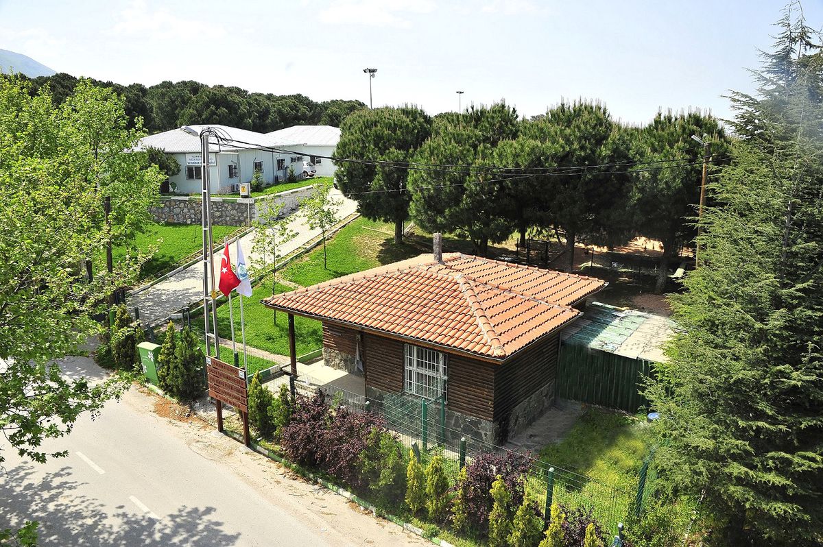 Sevimli Dostlara Yıldırım Eli