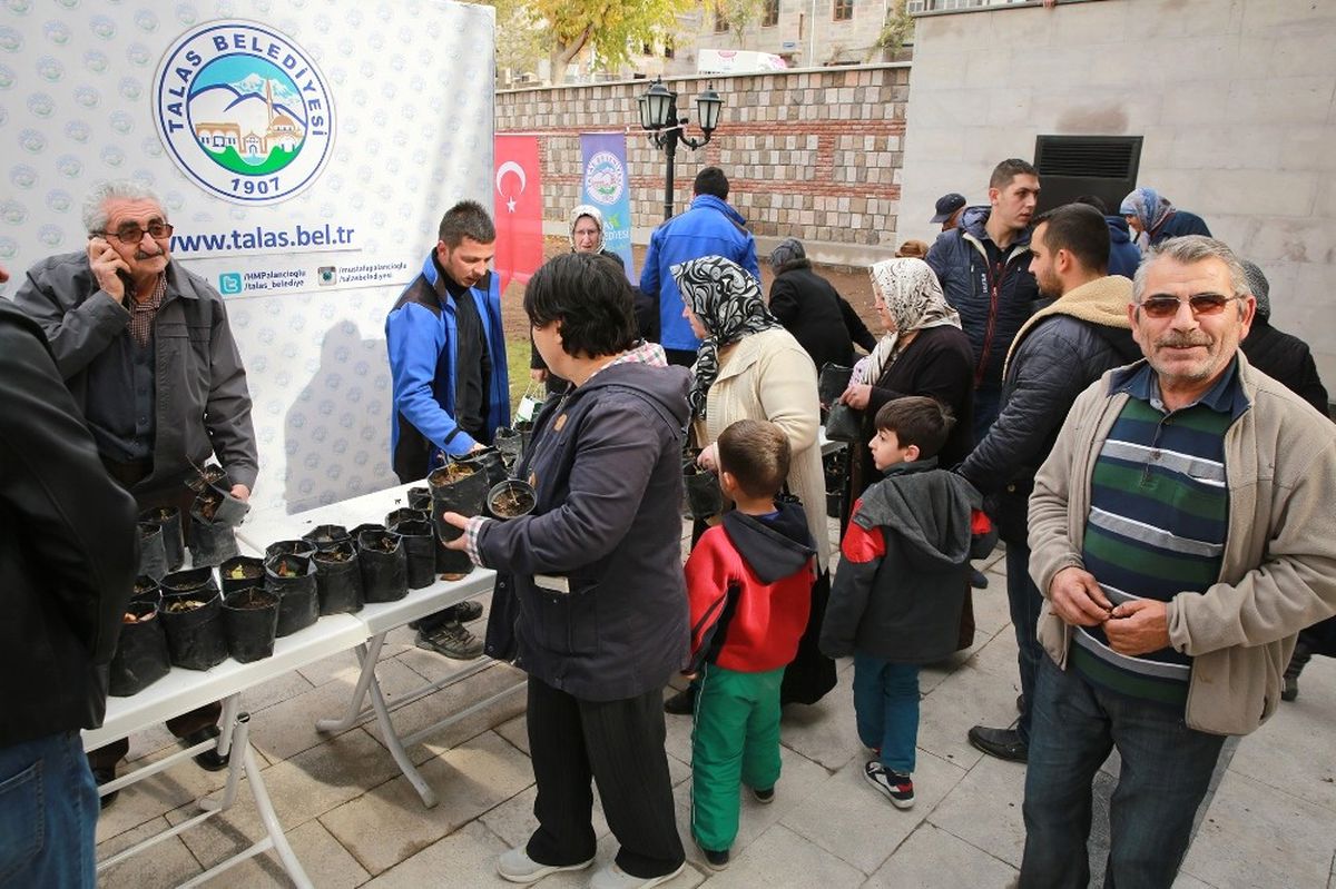 Talas Belediyesi Karadut Fidesi Dağıttı