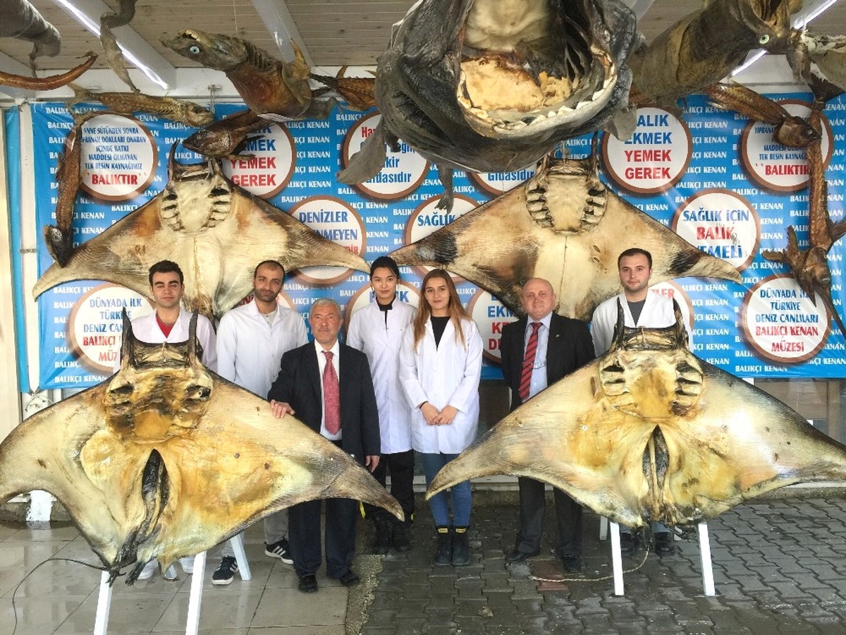 Türkiye Deniz Canlıları Müzesi, Üniversitelerin İlgi Odağı Oldu