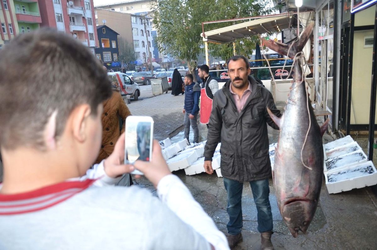 1,5 Metrelik Balığa Büyük İlgi
