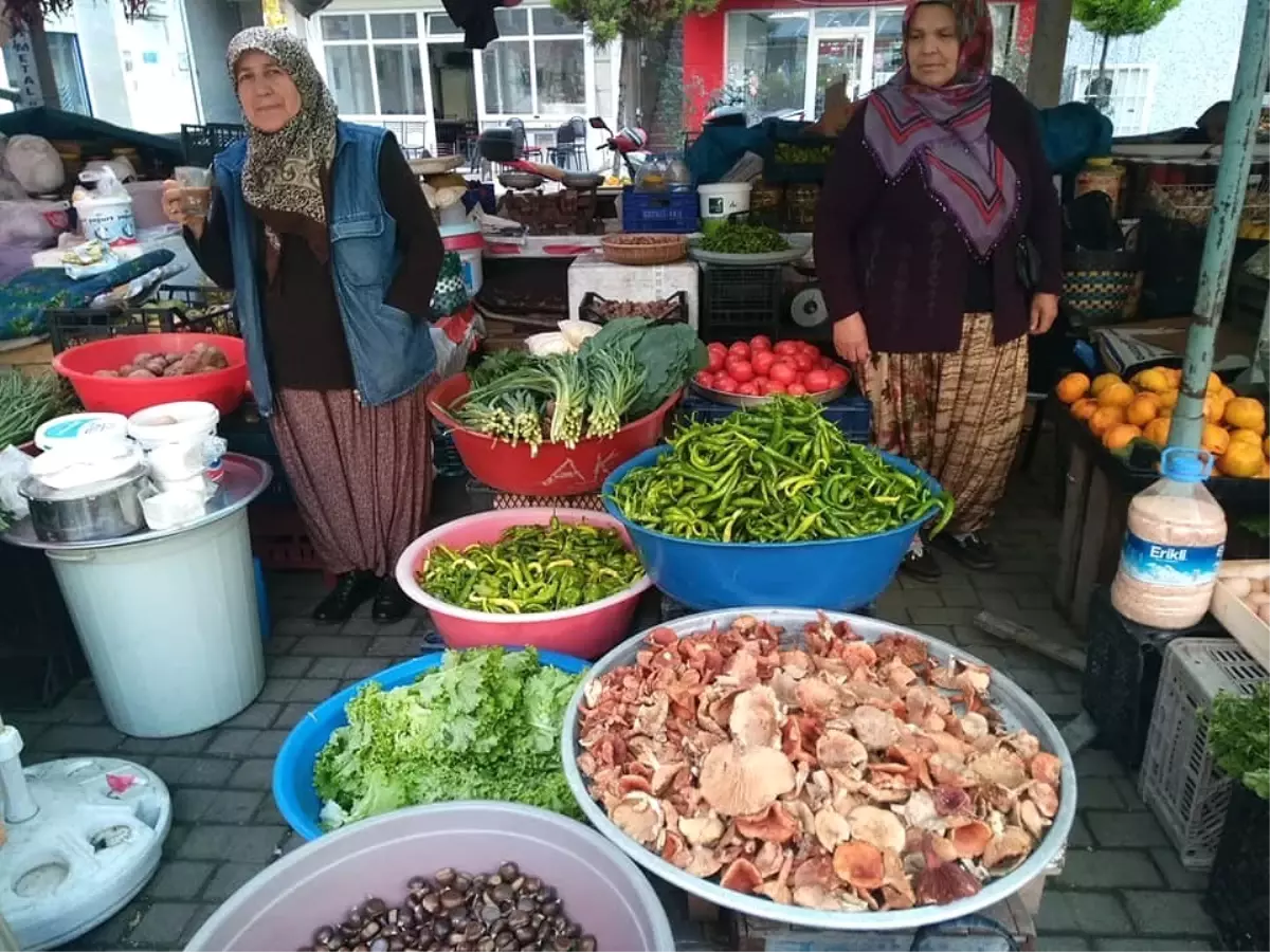 Fındık Mantarı Tezgahlarda