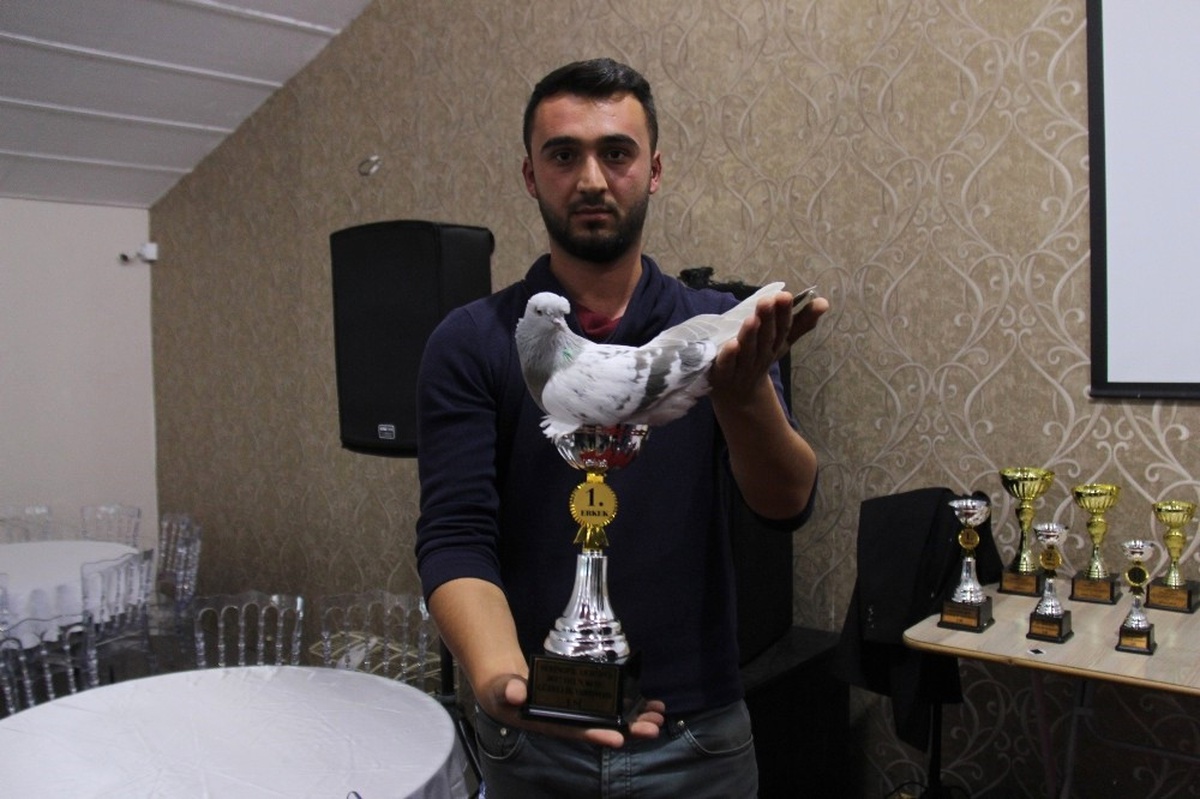 Güvercinlerin Güzellik Yarışmasına Büyük İlgi