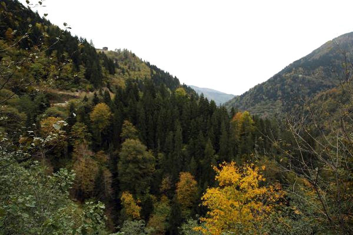 Kaçkarlar\'da Renk Cümbüşü