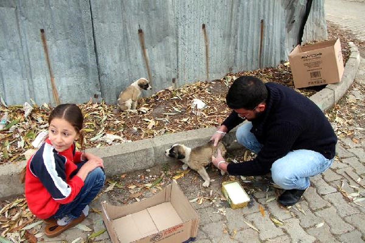9 Yaşındaki Nilay, Yaralı Yavru Köpeği Kurtardı