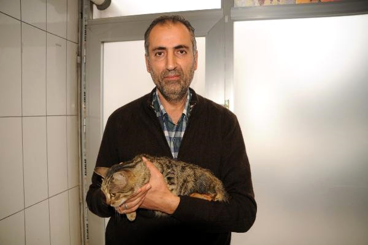 Bacağı Kopan Kediyi Tedavi Ettirip, Sahiplendi