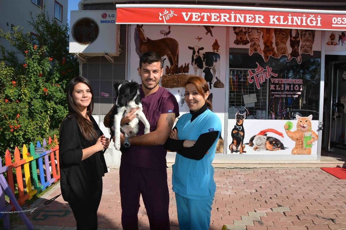 Bu Sevimli Hayvan Sahibini Arıyor
