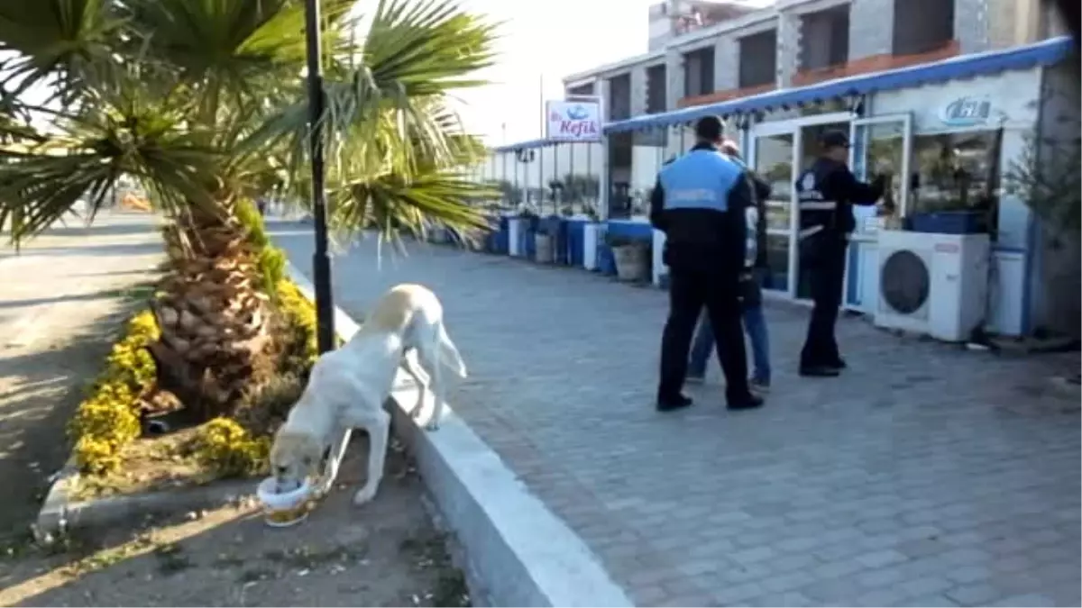 Burhaniye\'de Belediye Ekipleri Makinesiz Yıkım Yaptı