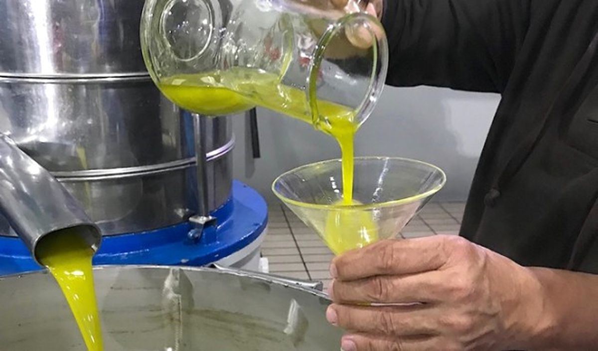 Son Beş Yılın En Kaliteli Zeytinyağı