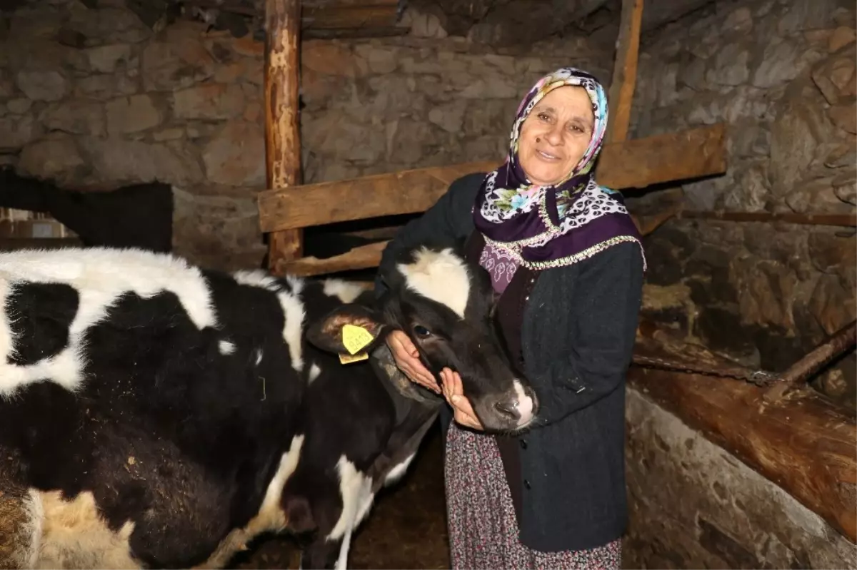 Trafik Kazasıyla Gelen Mani Söyleme Hastalığı Ümmani Teyzenin Evine Neşe Getirdi