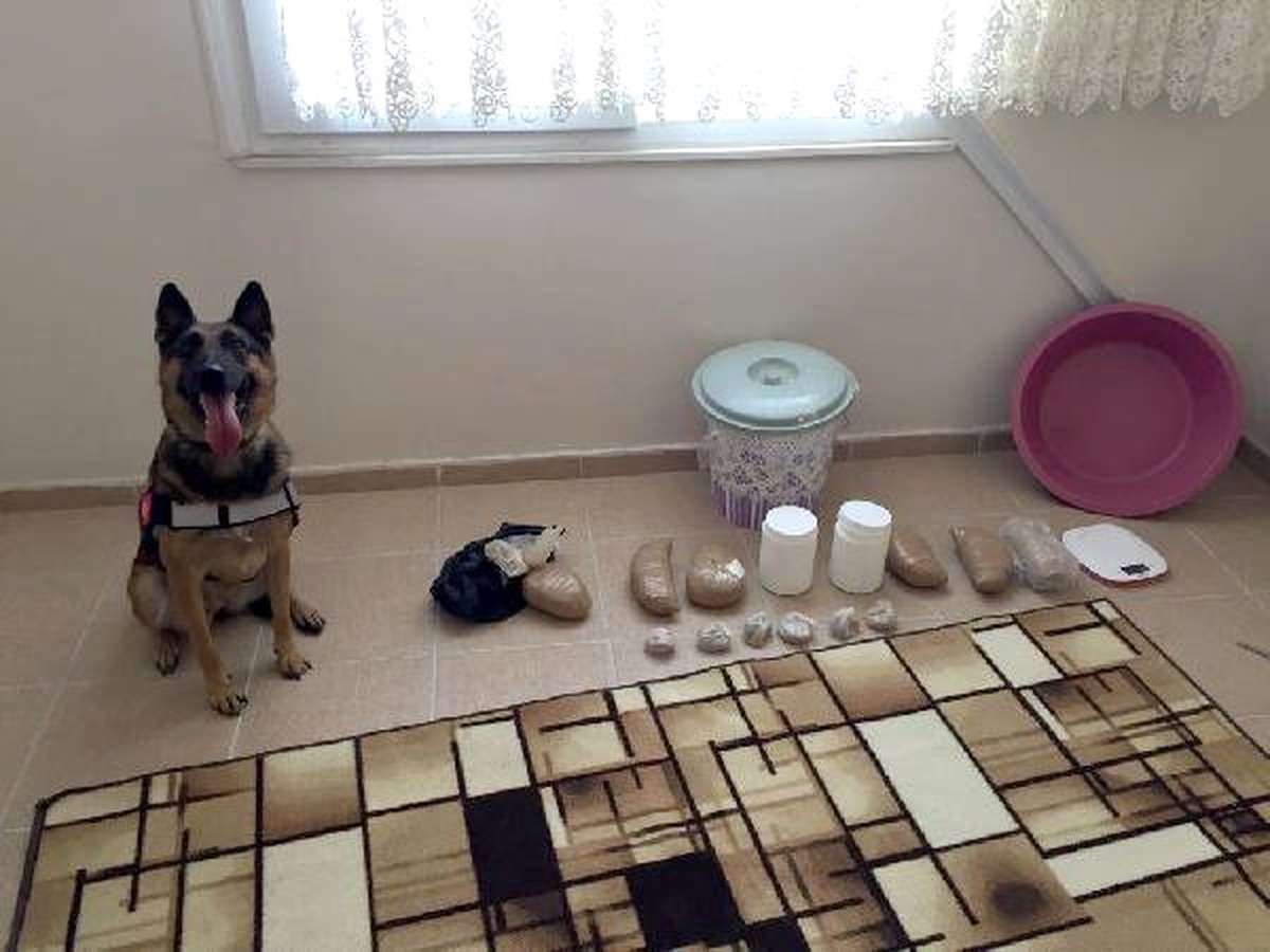 Yürüme Engelli Uyuşturucu Satıcısı Tutuklandı