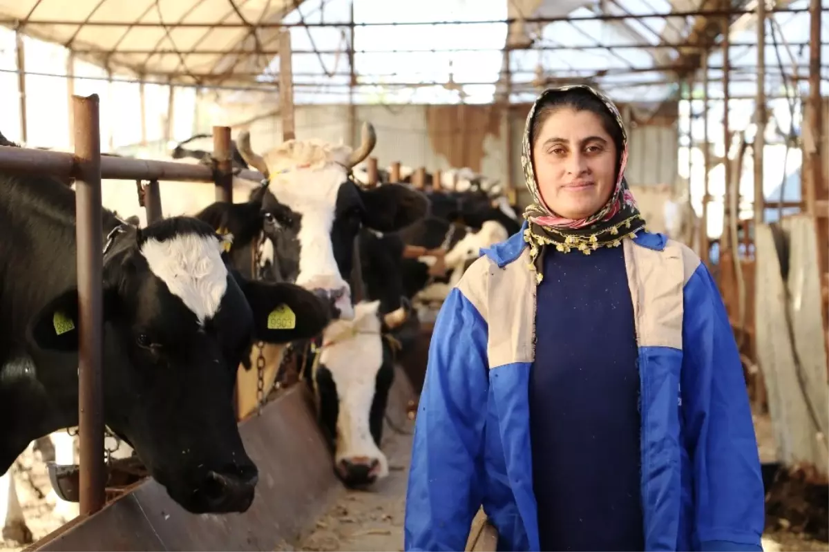 4 Bilezikle Kendi İşini Kurup 1 Milyon Liralık Servetin Sahibi Oldu