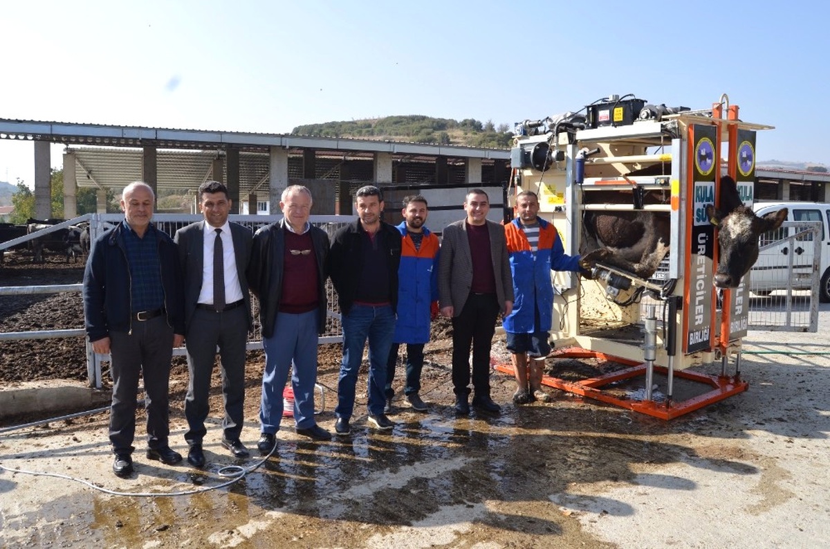 Büyükbaş Hayvanlara Tırnak Bakımı Uyarısı