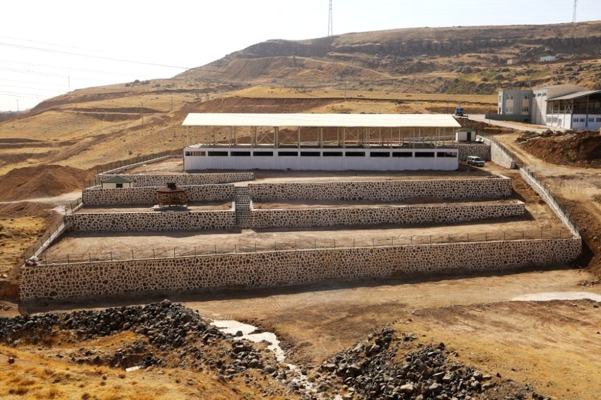 Cizre\'de Hayvan Pazarı Çalışmaları Devam Ediyor
