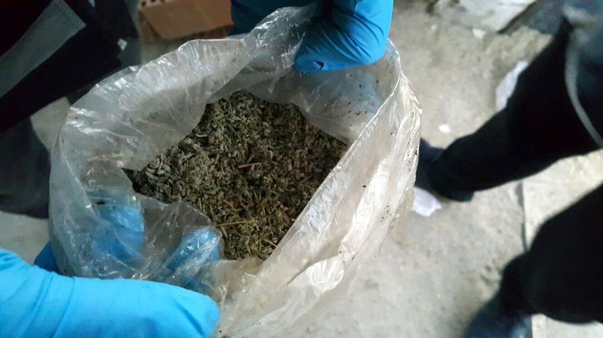 Hurda Araçlara Saklanan Uyuşturucuları Narkotik Köpeği Buldu