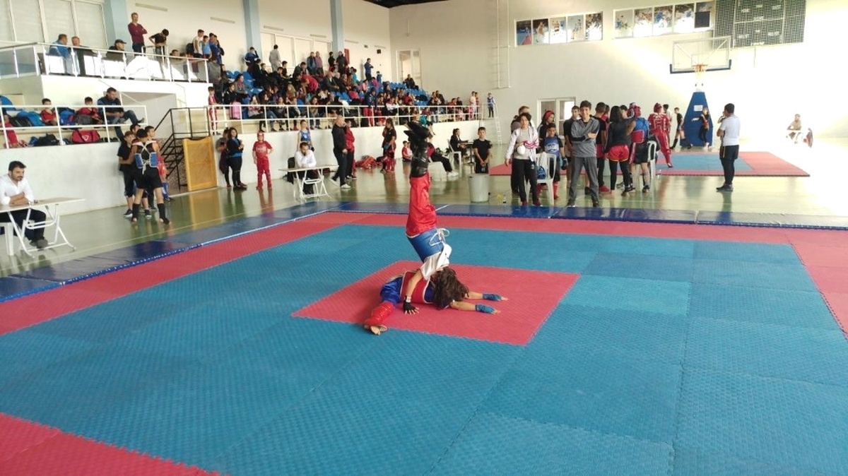 İller Arası Wushu - Kungfu Müsabakaları Sona Erdi