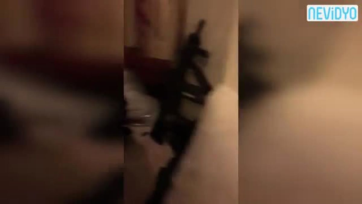 Prenslerin Tutulduğu Otelden İlk Görüntüler