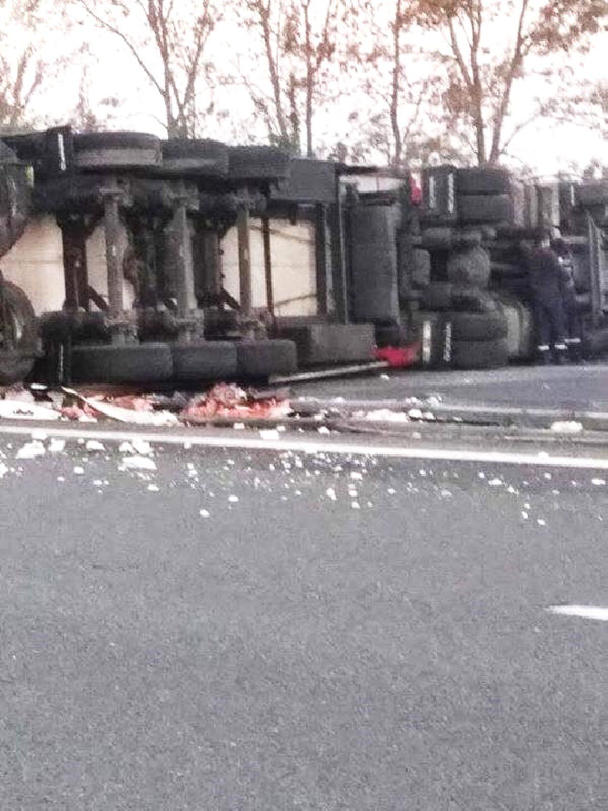 Sakarya\'da Tır Devrildi; Otoyol Ulaşıma Kapandı