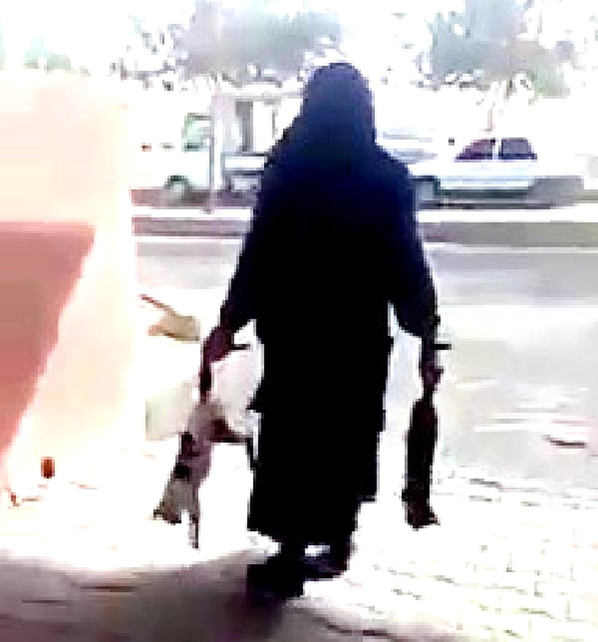 Şanlıurfa\'da Zehirlenen Kedileri Çöpe Atan Kadına Tepki