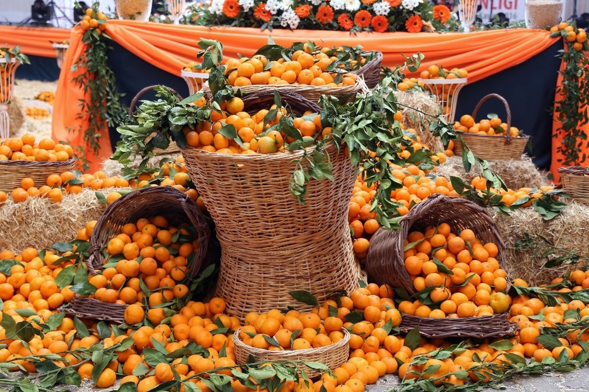 Seferihisar\'da Turuncu Festival İçin Artık Geri Sayım