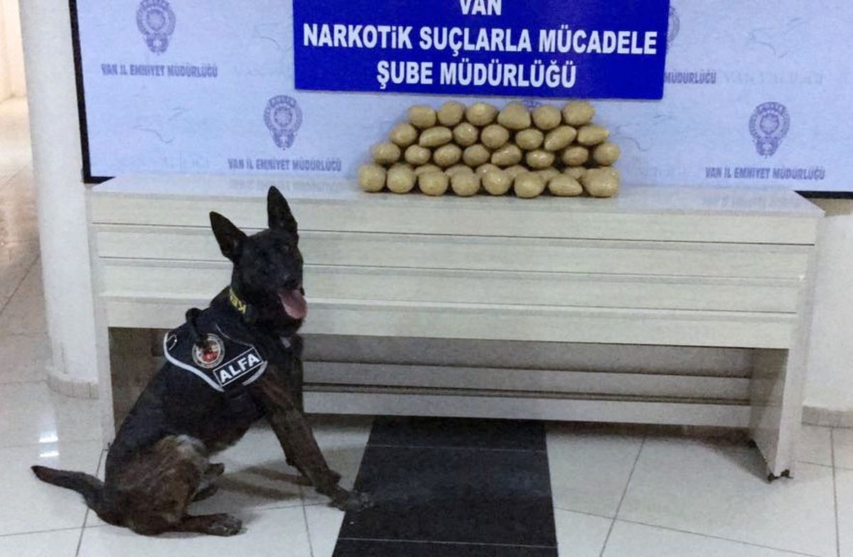 Van Polisi 10 Ayda 3 Ton 695 Kilo Uyuşturucu Ele Geçirdi