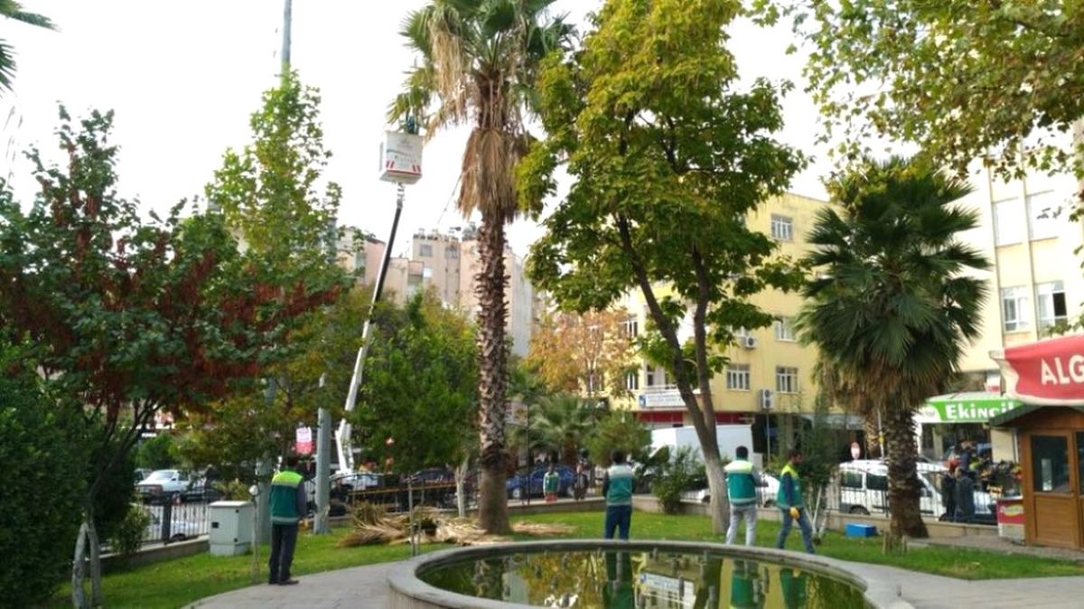 Adıyaman Belediyesinden Ağaçlara Bakım