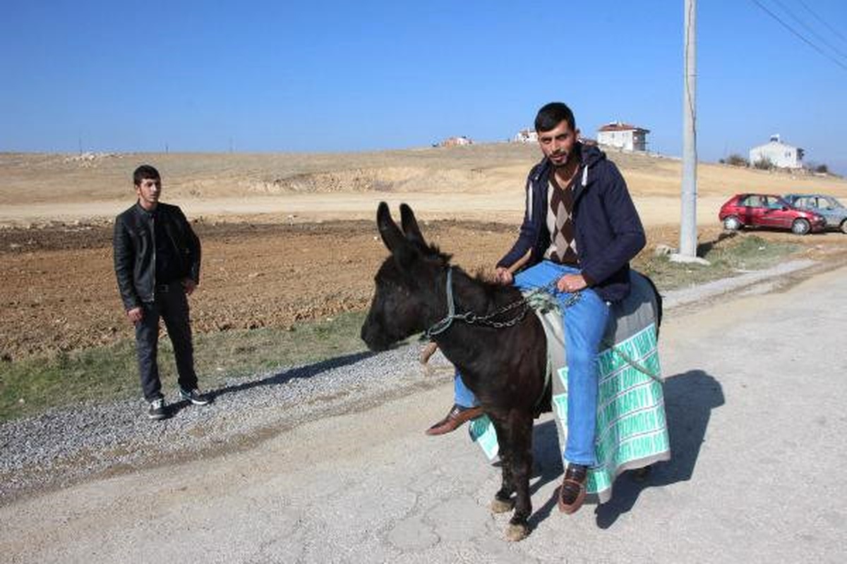 Akaryakıt Zammı Otomobilden İndirip Eşeğe Bindirdi