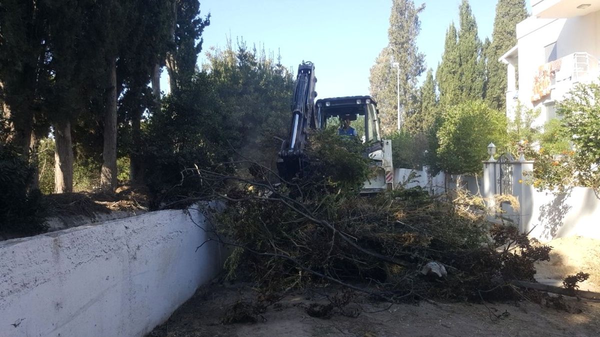Bodrum\'da Dere Taşkınlarına Önlem